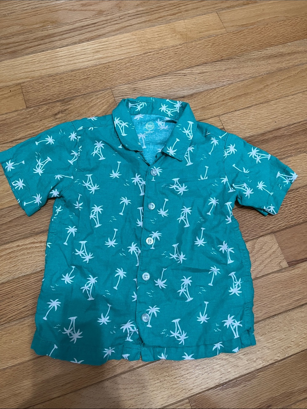 wonder nation Teal Green Palm Tree Button-Down Shirt